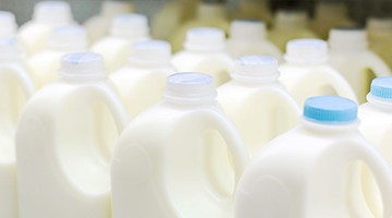 Plastic bottles of milk circulating on a manufacturers conveyor belt